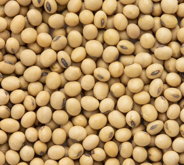 Soybeans